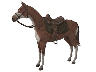 精品动物模型  马 (7)